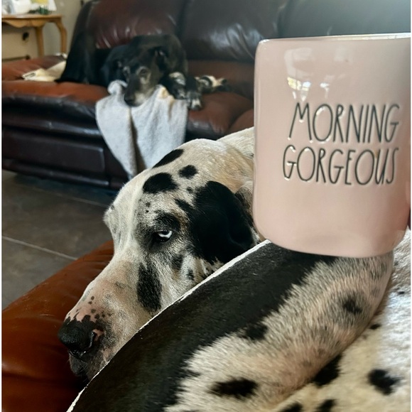 Meet your Posher, Denise - Picture 15 of 16